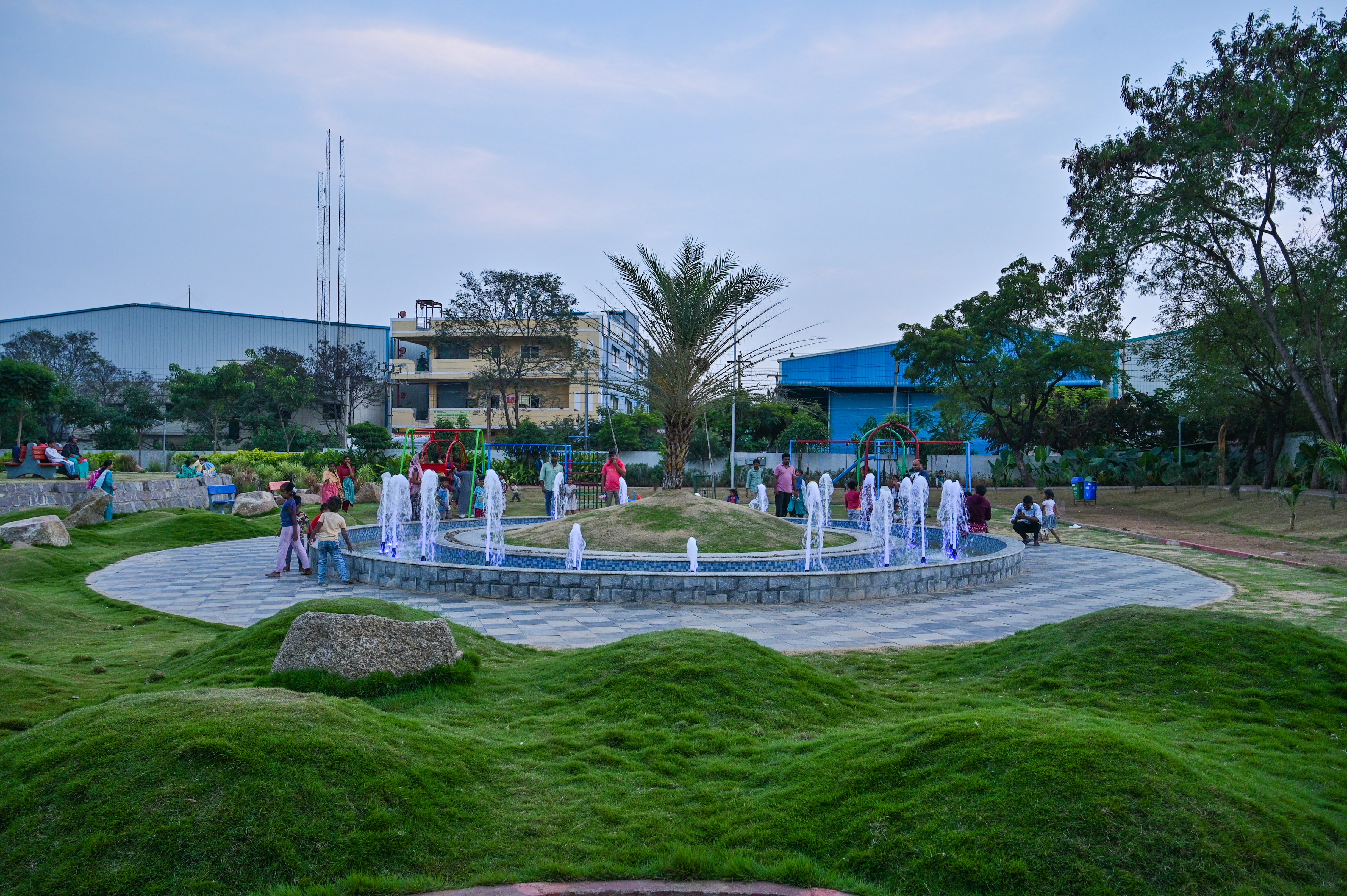 DSC_4317