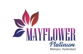 mayflower platinum